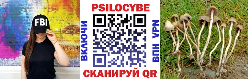 Купить  Ногинск  Псилоцибиновые грибы ЛСД 